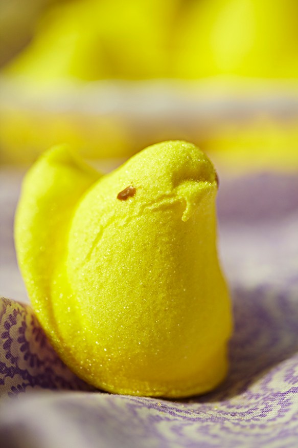 peeps2